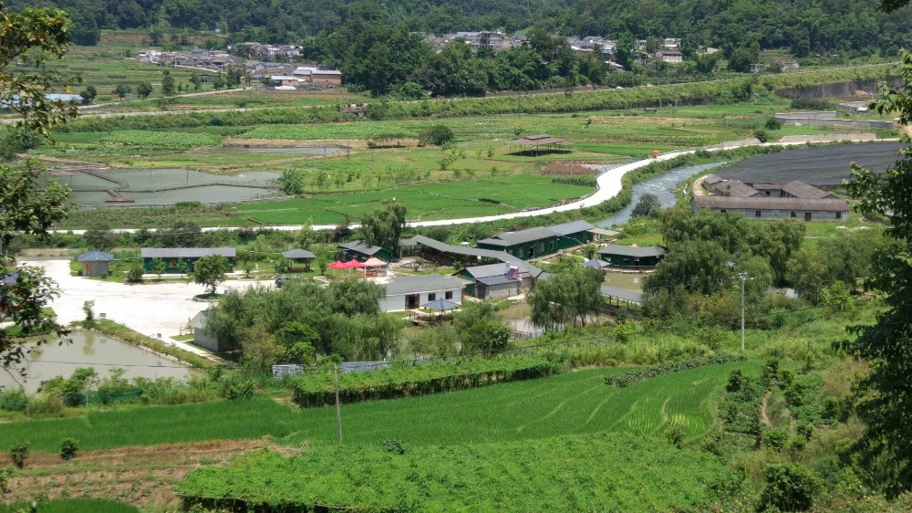 鳄鱼基地